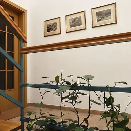 Apartment New Irena In House Gabrijela Mrak In Old *