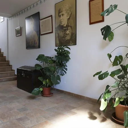 New Irena In House Gabrijela Mrak In Old Apartment *