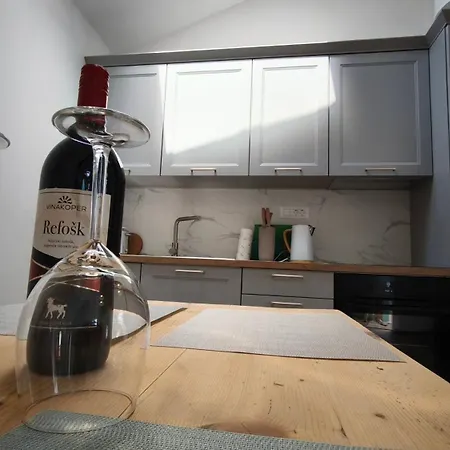 Appartement New Irena In House Gabrijela Mrak In Old Tolmin